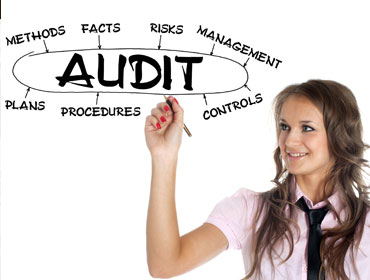 AUDITS