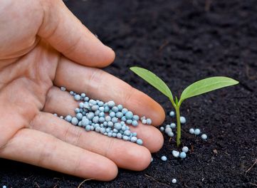 Fertilizing Services